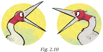 Question diagram 1