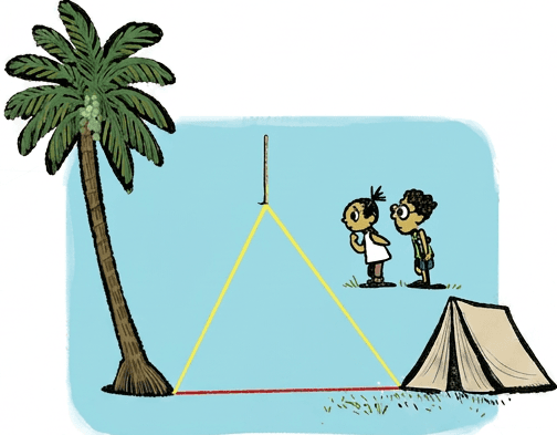 Question diagram 1